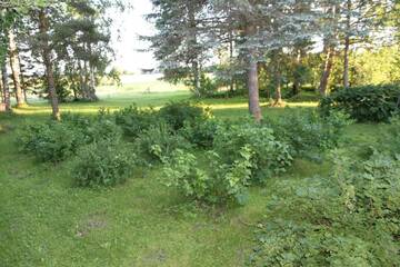 Фото номера Дом с 3 спальнями Дома для отпуска Karu Holiday Home г. Laiusevälja 49