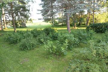 Фото номера Дом с 3 спальнями Дома для отпуска Karu Holiday Home г. Laiusevälja 44