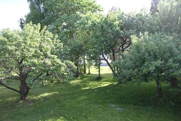 Фото номера Дом с 3 спальнями Дома для отпуска Karu Holiday Home г. Laiusevälja 55