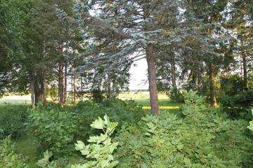 Фото номера Дом с 3 спальнями Дома для отпуска Karu Holiday Home г. Laiusevälja 52