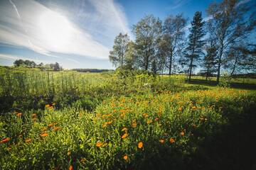 Фото номера Дом с 3 спальнями Дома для отпуска Karu Holiday Home г. Laiusevälja 36