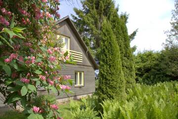 Фото номера Дом с 3 спальнями Дома для отпуска Karu Holiday Home г. Laiusevälja 33