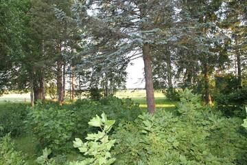 Фото номера Дом с 3 спальнями Дома для отпуска Karu Holiday Home г. Laiusevälja 40